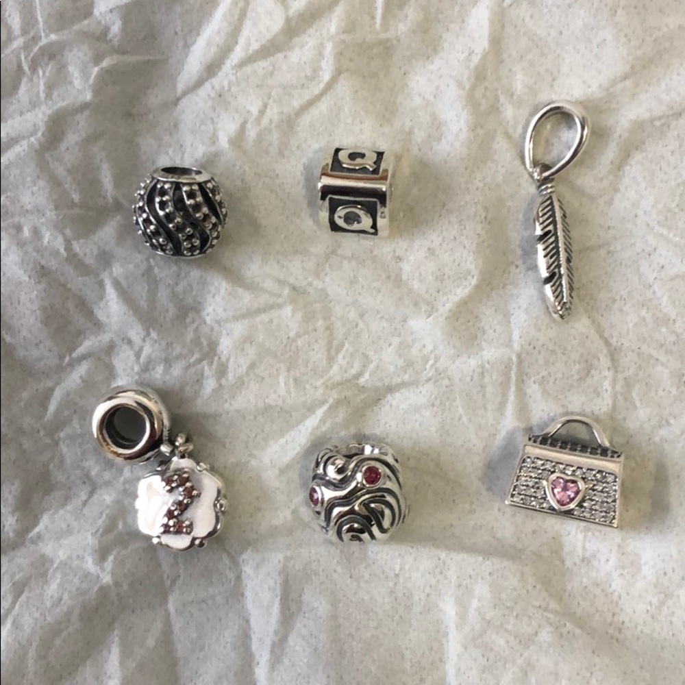 Pandora charms